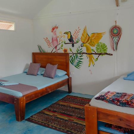 El Zoo Hostel, Bar & Pool Palomino Εξωτερικό φωτογραφία
