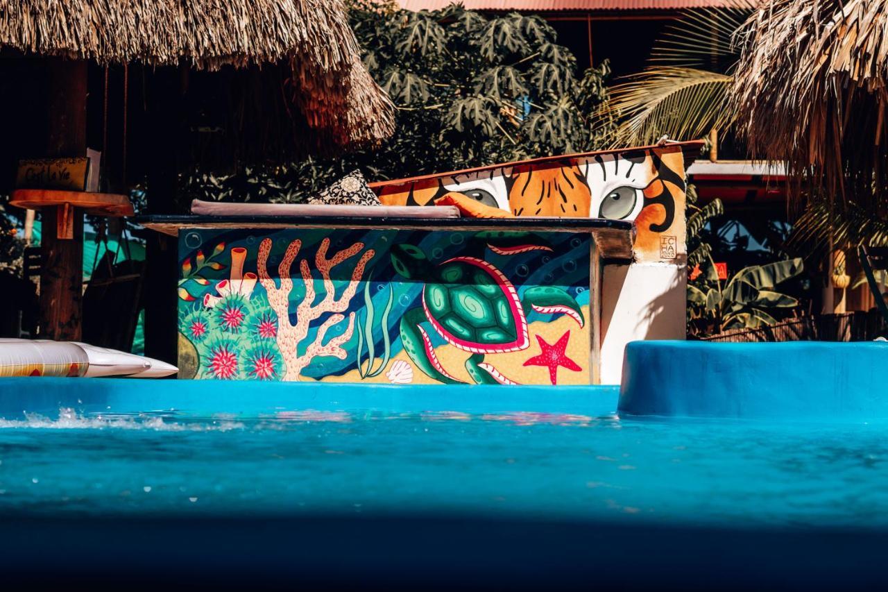 El Zoo Hostel, Bar & Pool Palomino Εξωτερικό φωτογραφία