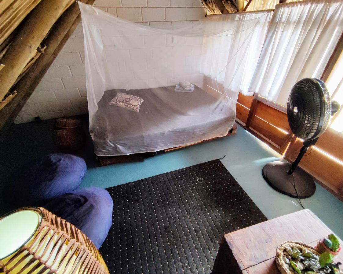 El Zoo Hostel, Bar & Pool Palomino Εξωτερικό φωτογραφία