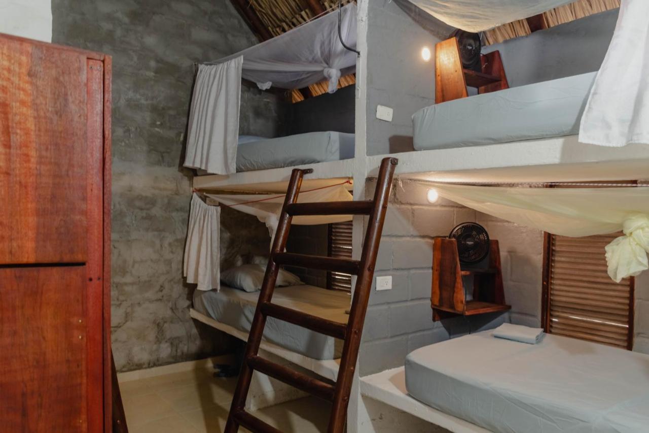 El Zoo Hostel, Bar & Pool Palomino Εξωτερικό φωτογραφία