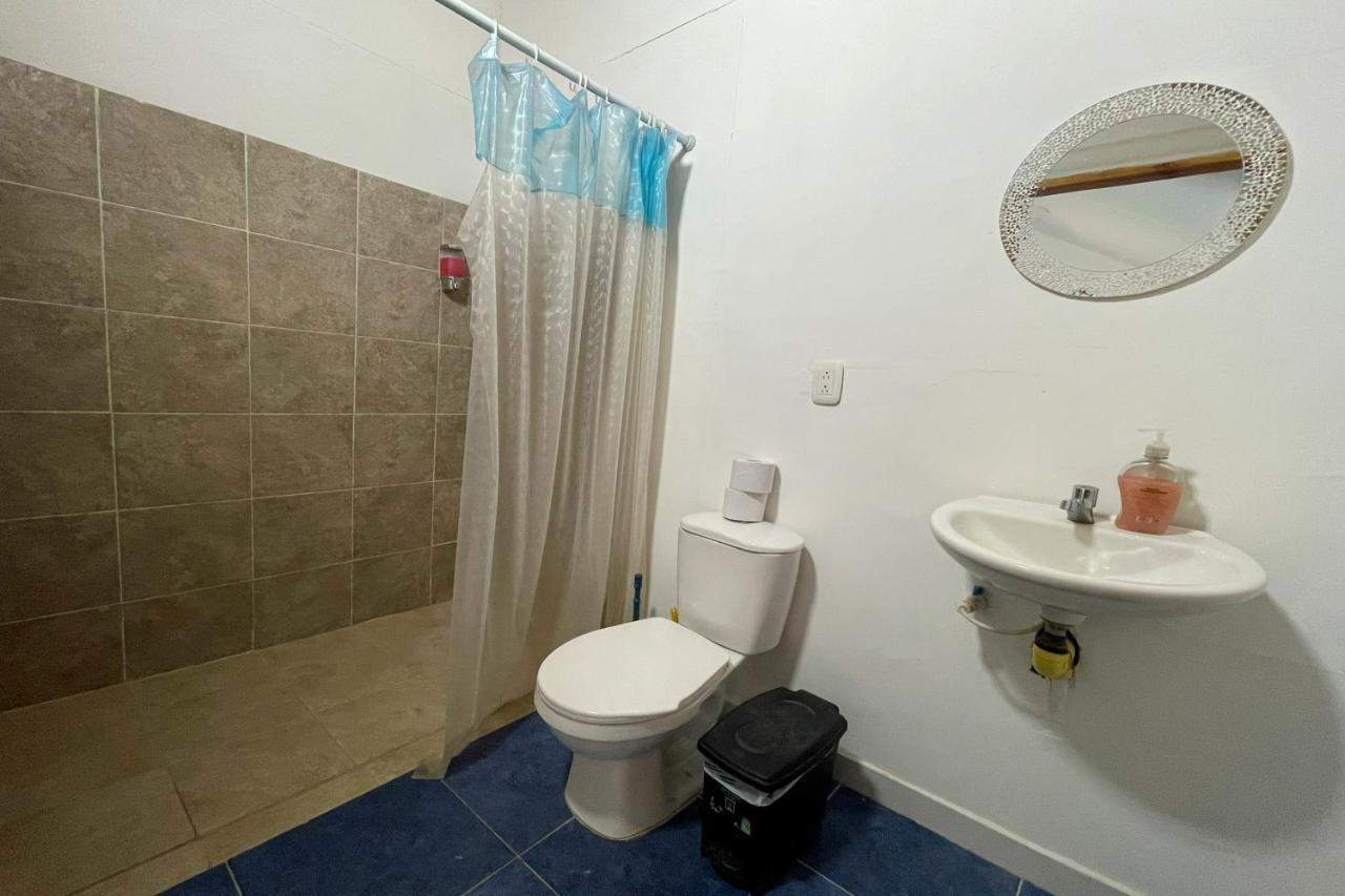 El Zoo Hostel, Bar & Pool Palomino Εξωτερικό φωτογραφία